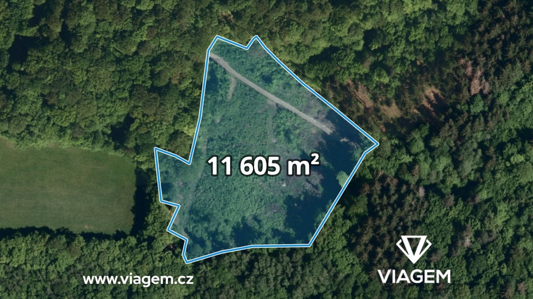 Lesy, Janová, okres Vsetín - 1