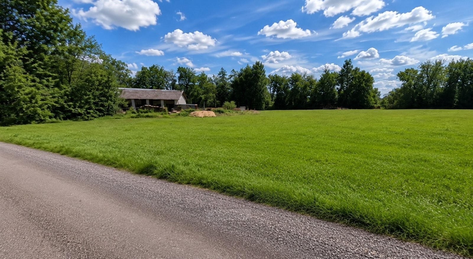 Zahrada · 723 m² · Dubné Třebín - 4