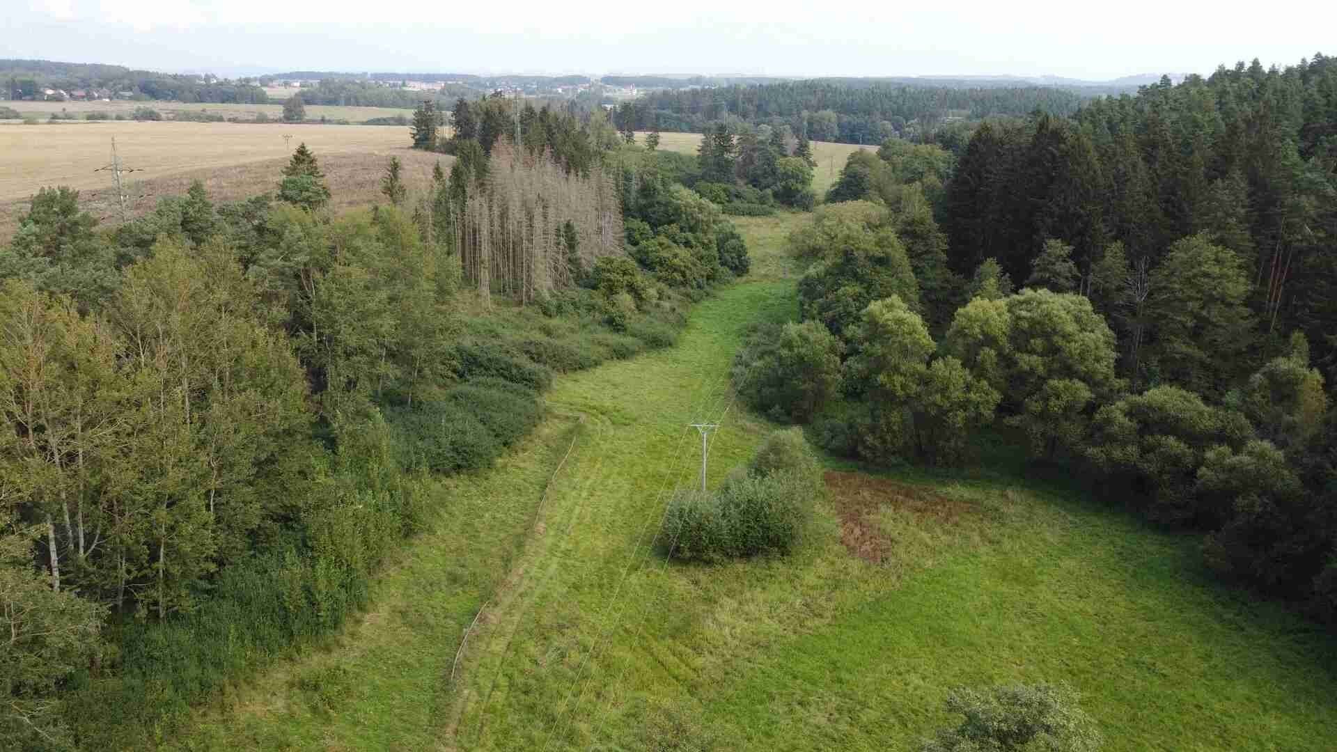 Prodej zemědělský pozemek - Tachov, 58 887 m² - 5