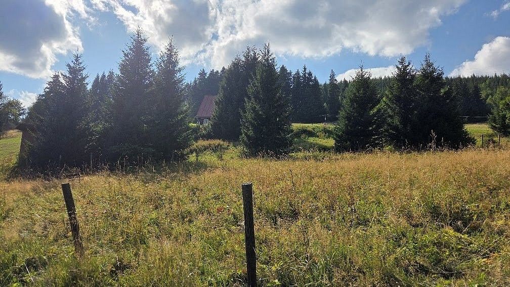 Louky, Malá Úpa - Dolní Malá Úpa, okres Trutnov, Královéhradecký kraj - 2