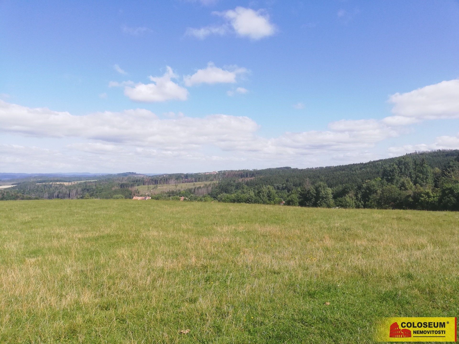 Prodej zemědělský pozemek - Velenov
