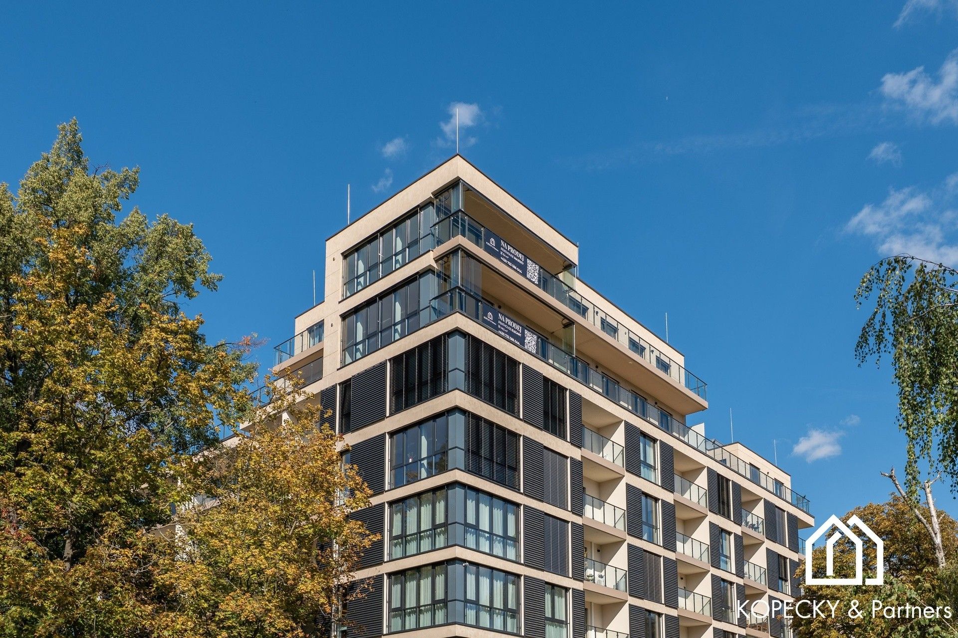 5+kk, Radimova 2522, Praha Břevnov, 149 m² - 1