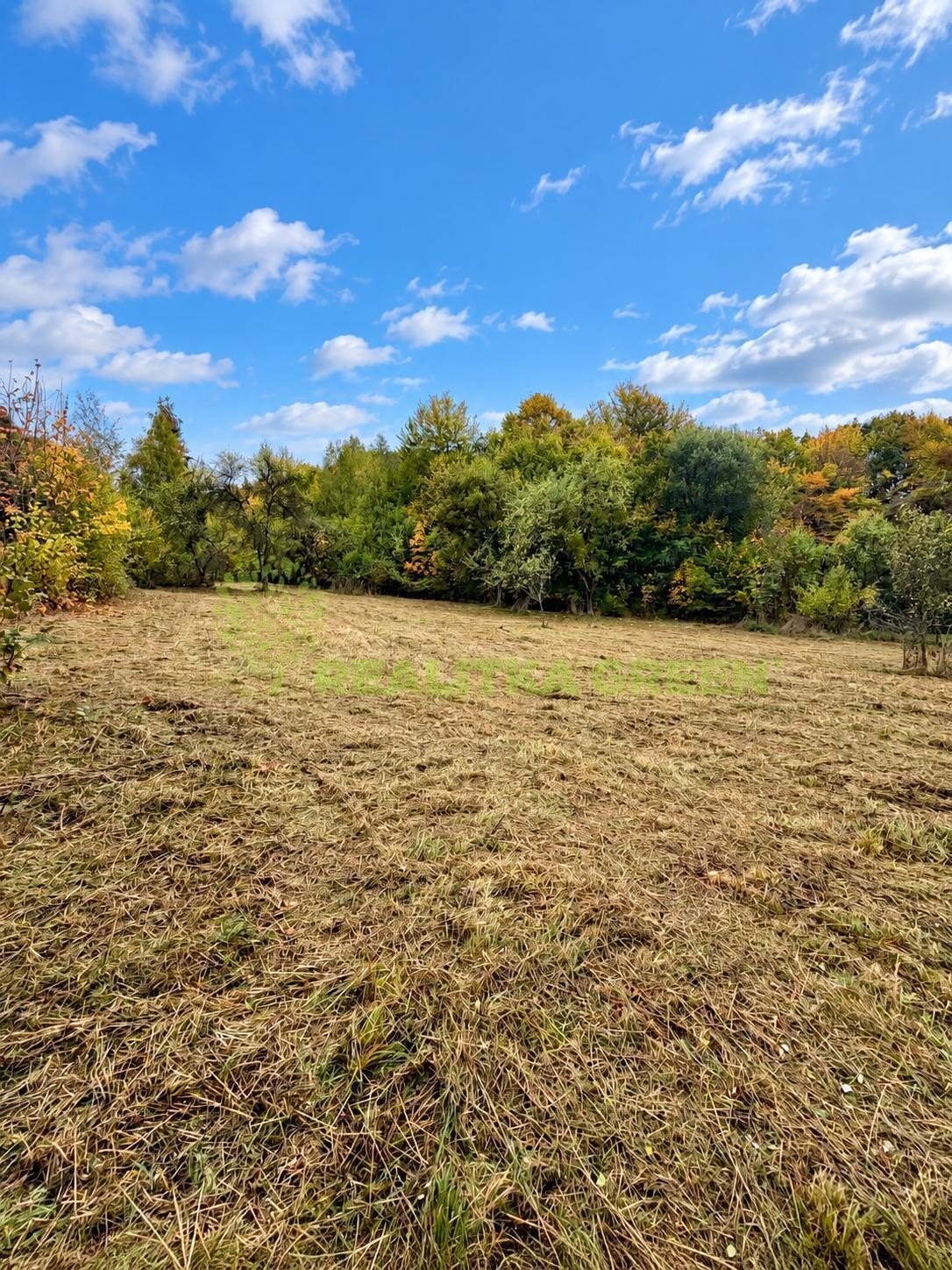 Prodej pozemek pro bydlení - Růžďka, 2 996 m² - 2