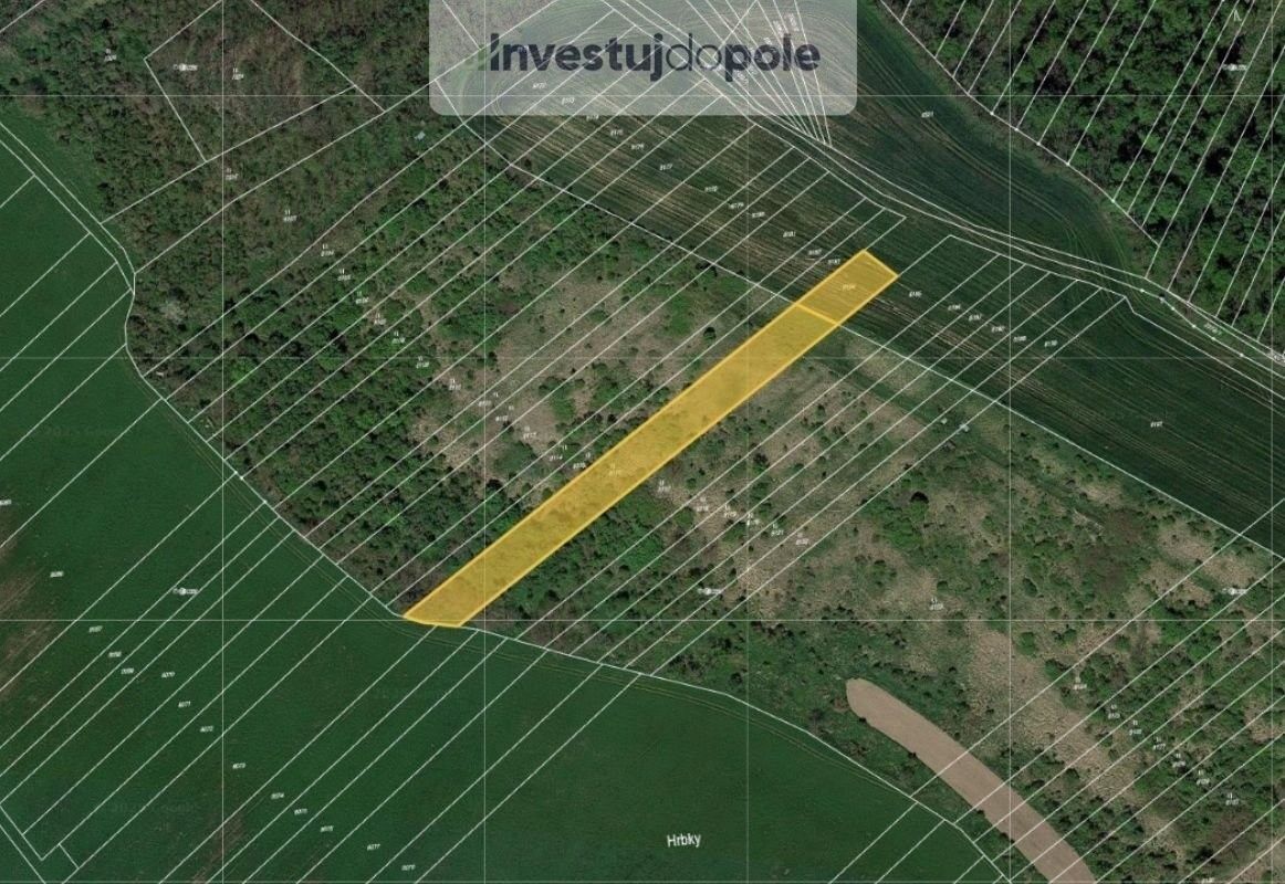 Louky, Velké Němčice, 1 746 m²