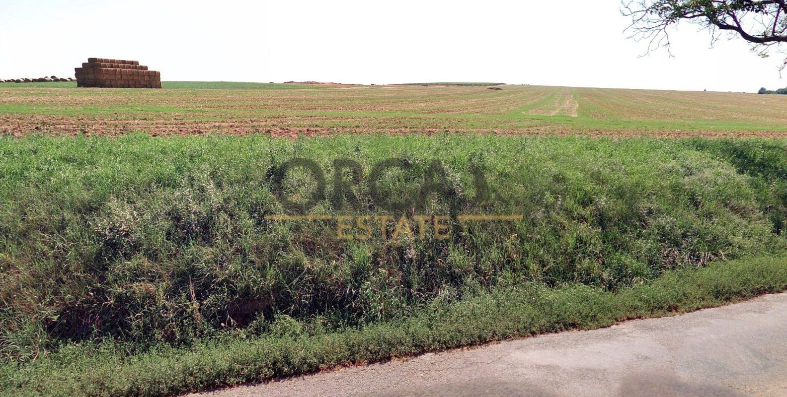 Prodej zemědělský pozemek - Domanín, okres Hodonín, Jihomoravský kraj - 5