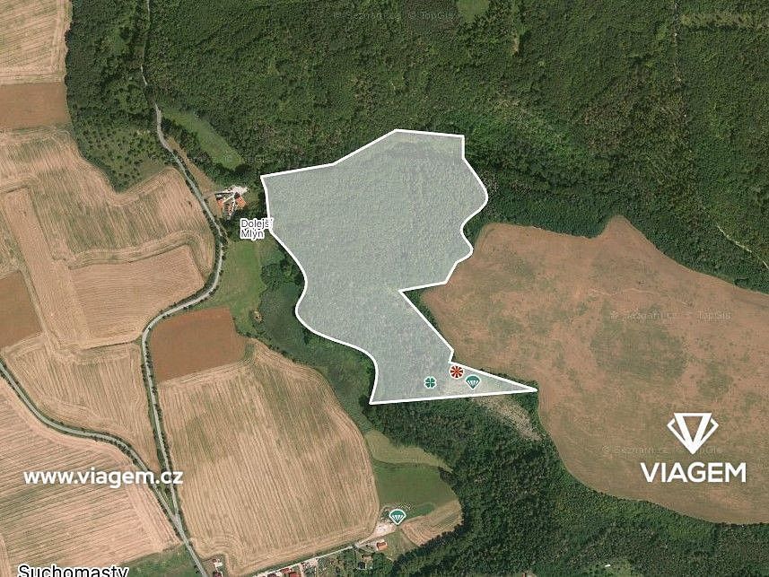 Les · Suchomasty, okres Beroun, Středočeský kraj - 3