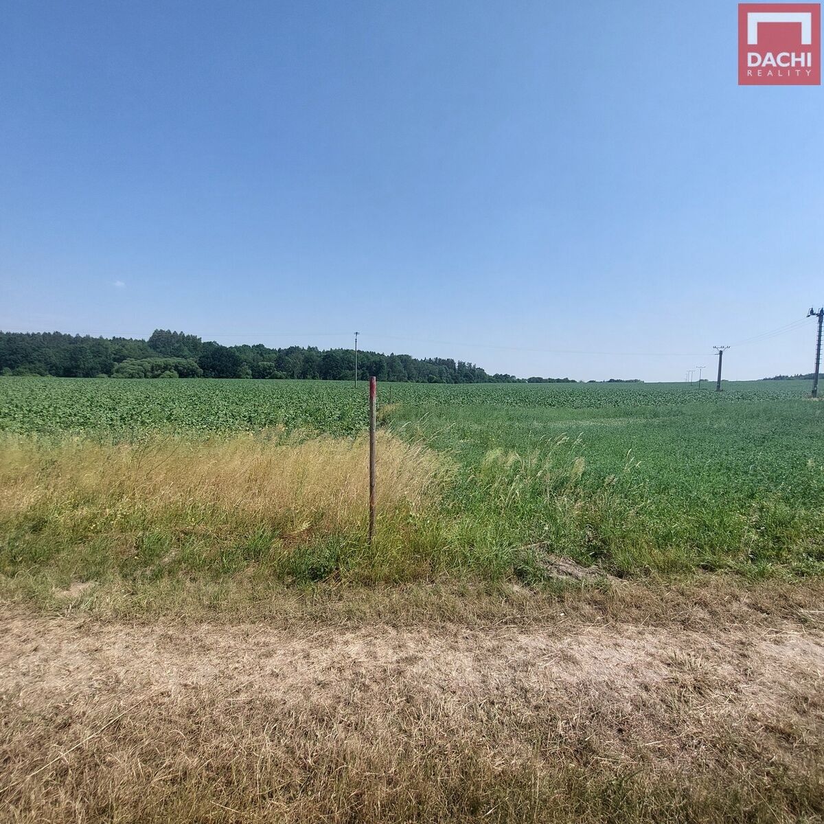Prodej pozemek pro bydlení - Pavlov, 32 279 m² - 5