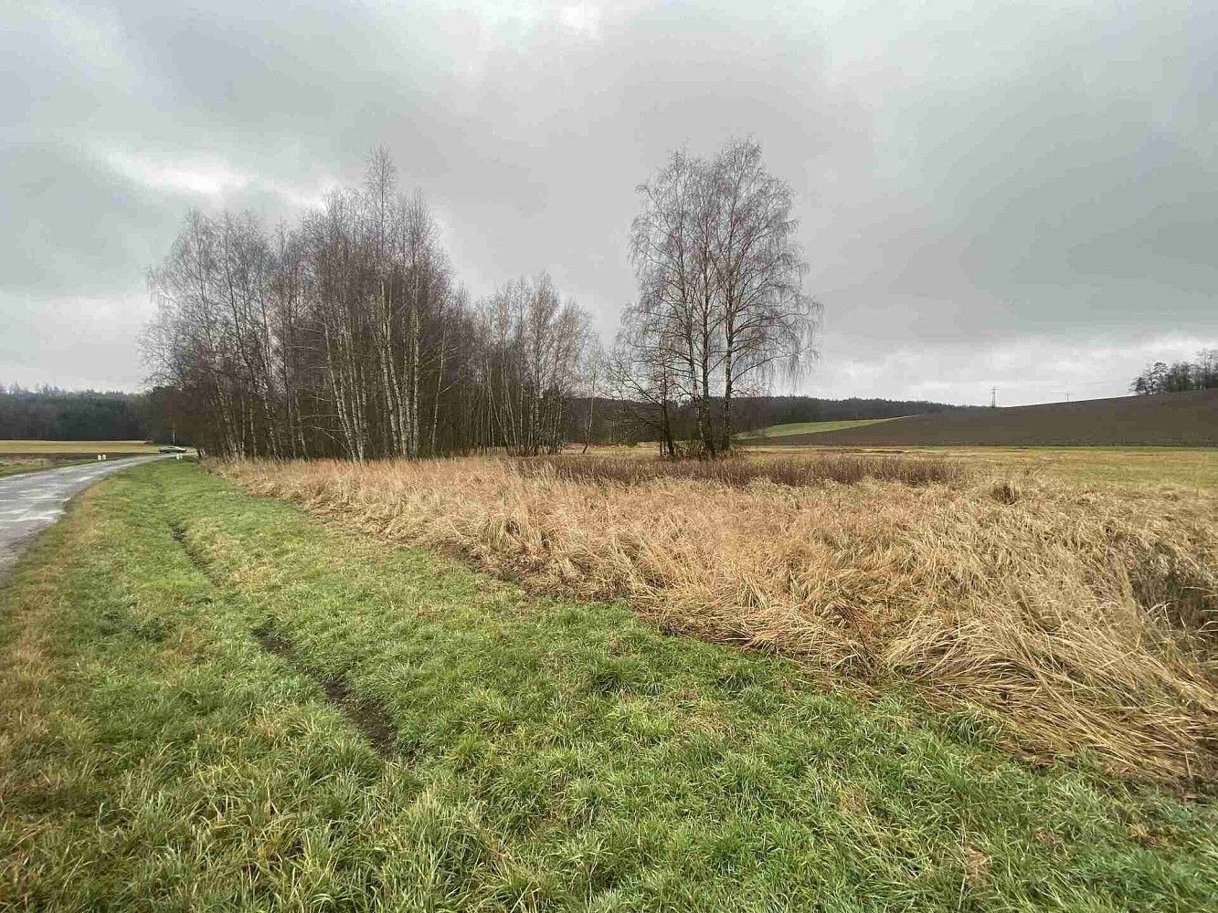 Pozemek · Hosín - Dobřejovice, okres České Budějovice, Jihočeský kraj - 4