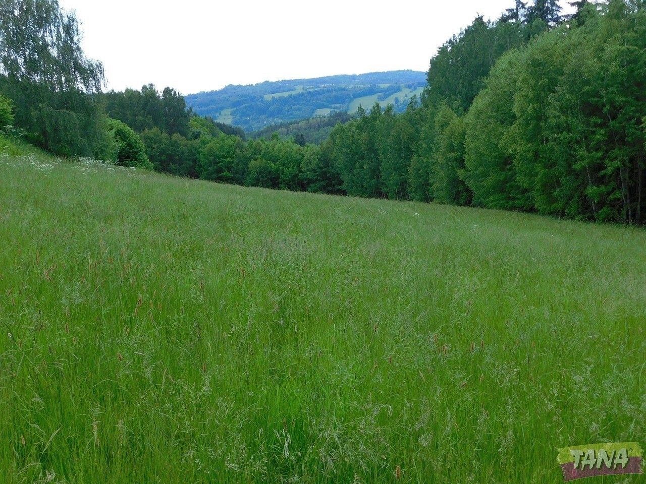 Louka · Semily, Liberecký kraj - 3