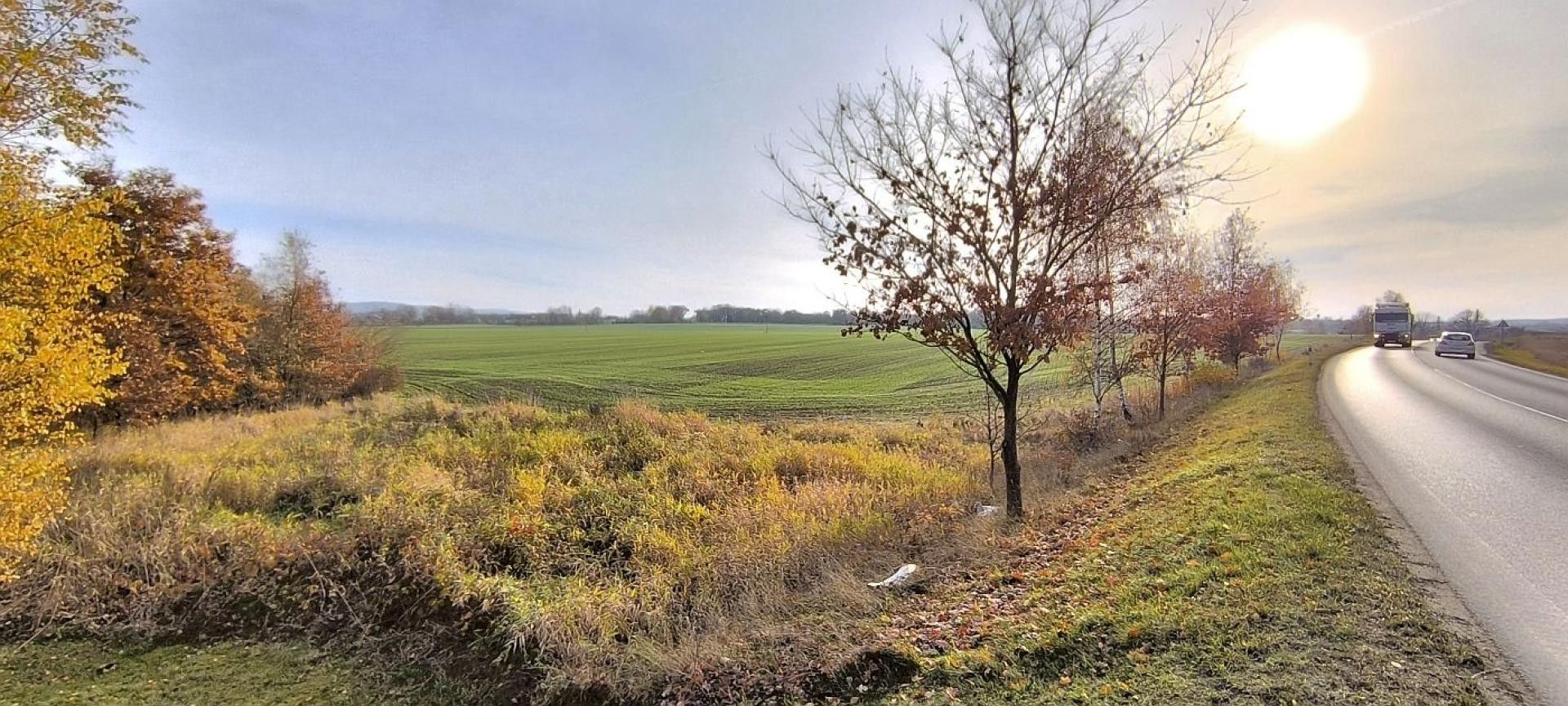 Zemědělské pozemky, Nižnětagilská, Cheb