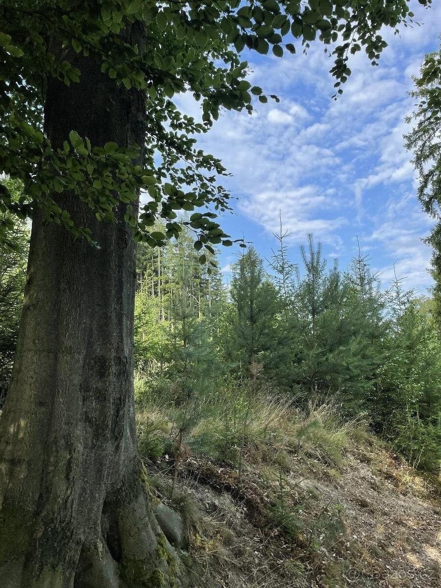 Pozemky pro bydlení, Jevíčko, 569 43