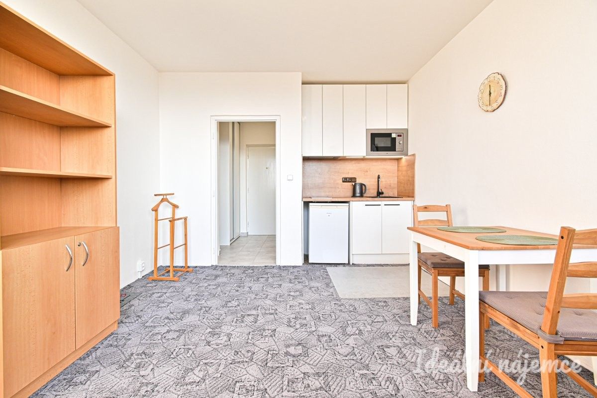 Pronájem byt 1+kk - Halasovo náměstí, Brno, 23 m²