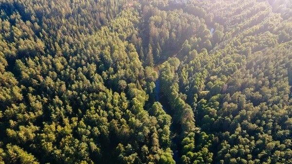 Pozemky pro bydlení, České Budějovice, 370 05