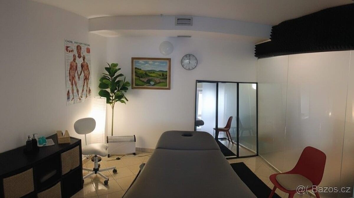Pronájem ostatní - Praha, 160 00