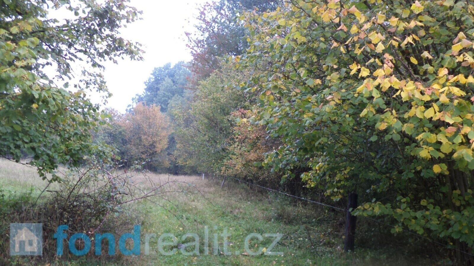 Zemědělský pozemek · 35 381 m² · Přimda - 3