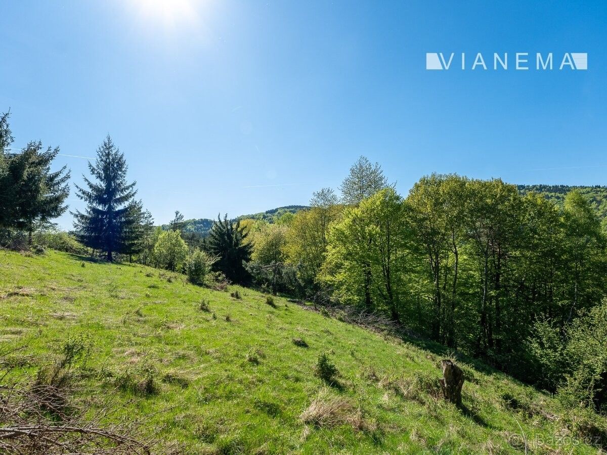 Prodej pozemek pro bydlení - 987 65, Slovensko