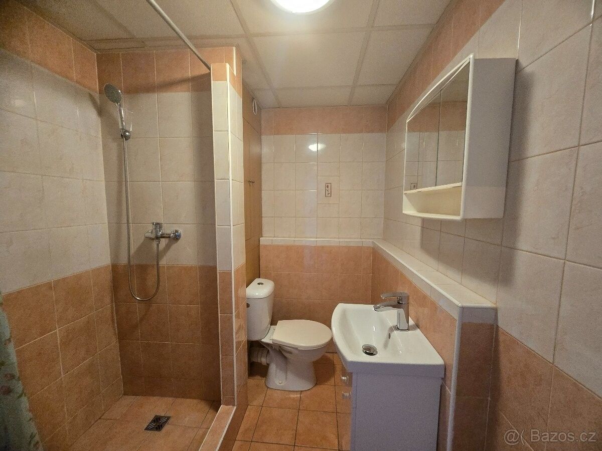 Byt · Chomutov, 430 04 - 4