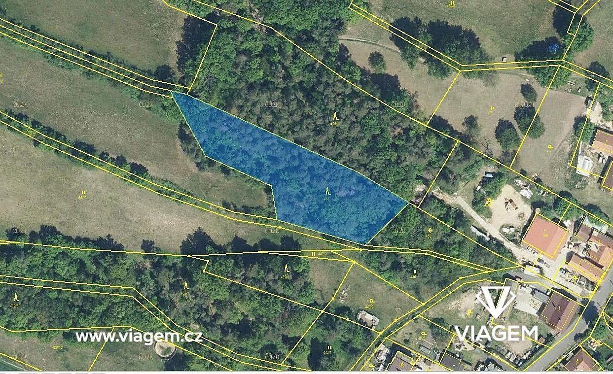 Prodej les - Olešnice, okres Rychnov nad Kněžnou, Královéhradecký kraj - 2