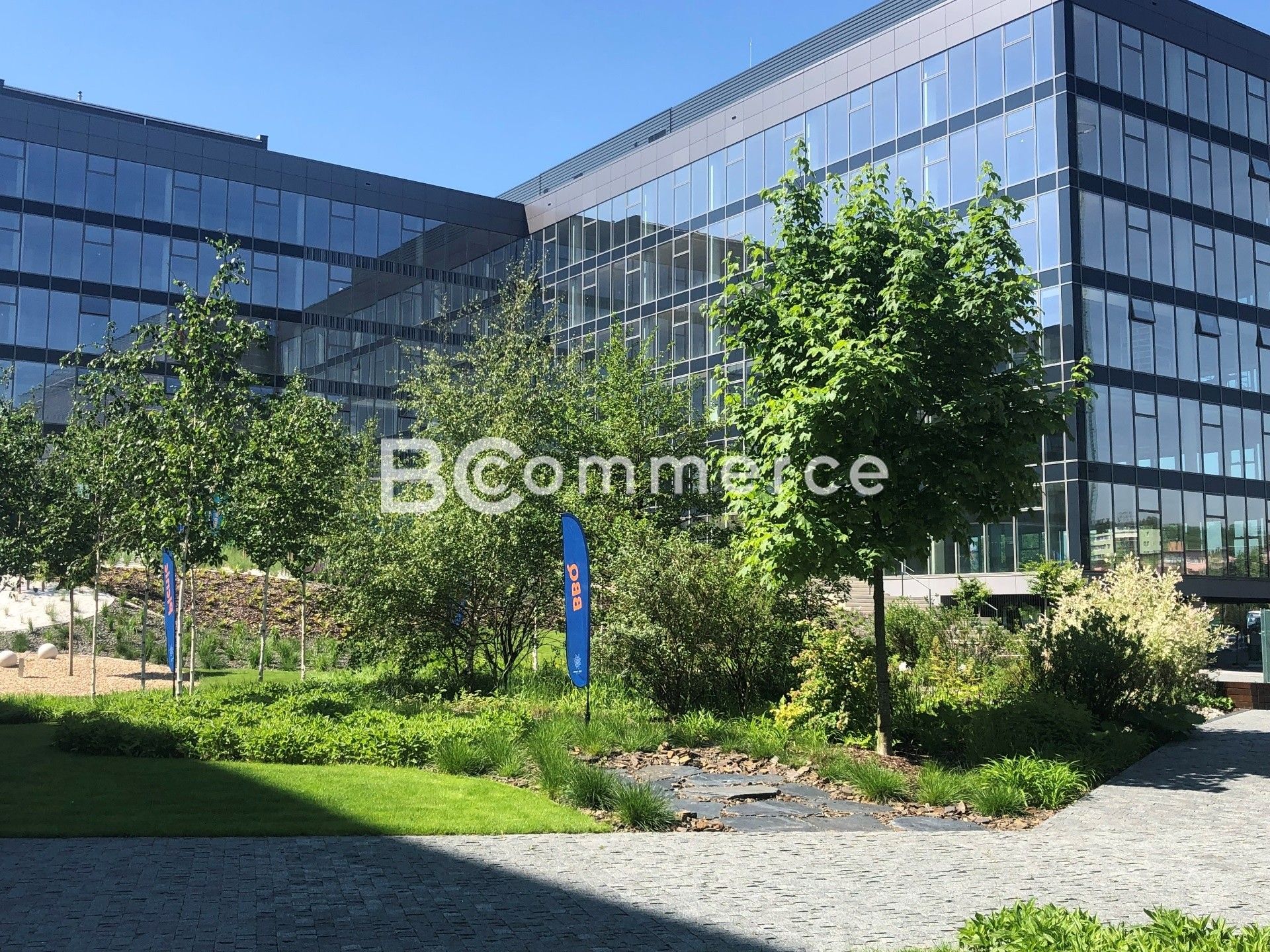 Kanceláře, Brno, 350 m²