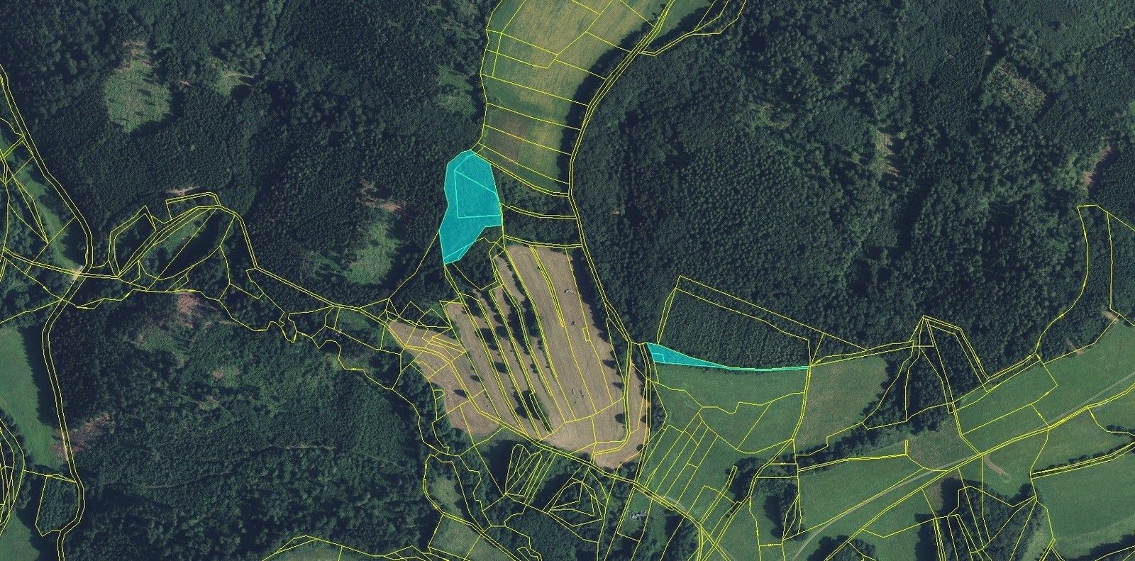 Prodej les - Drozdov, 11 m²