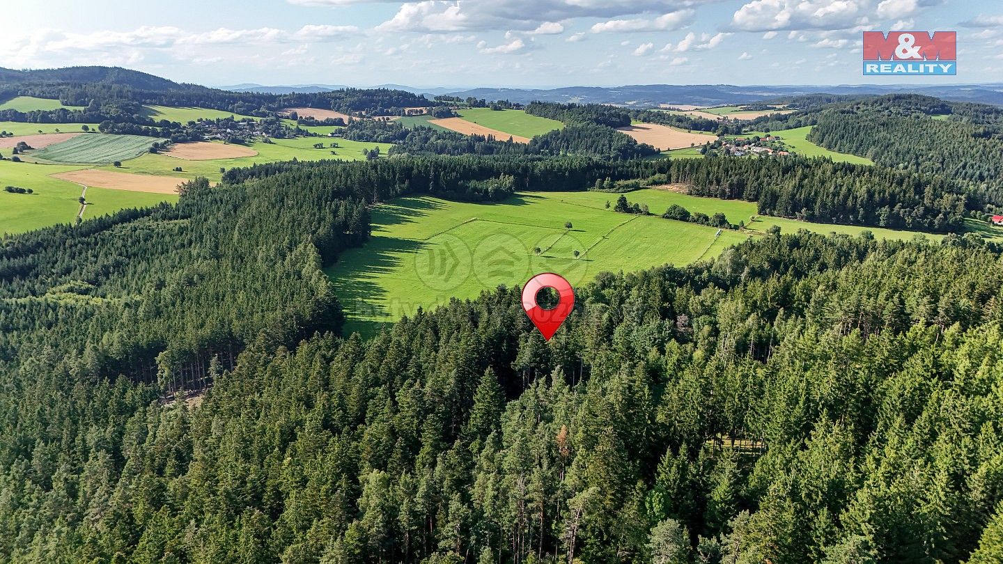 Les · Petrovice u Sušice - Maršovice, okres Klatovy, Plzeňský kraj - 3