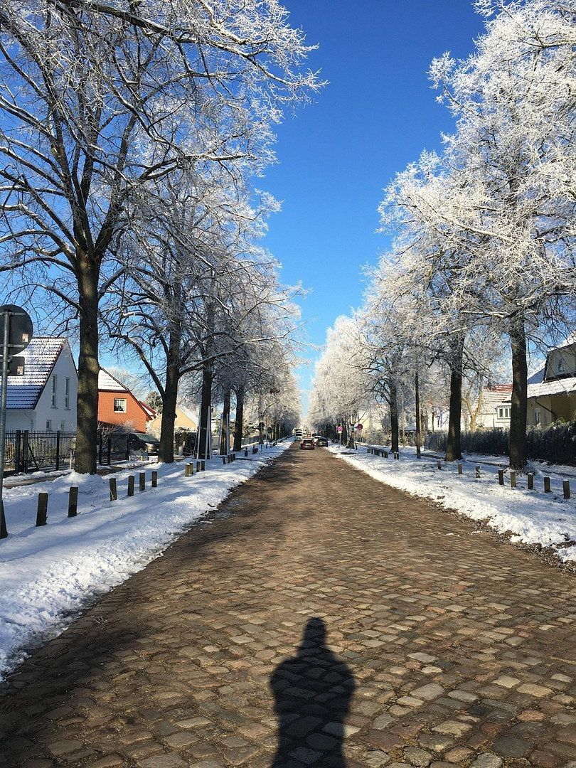 Prodej rodinný dům - , Braniborsko, 430 m² - 5