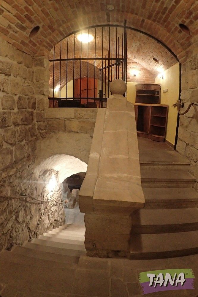 Restaurace, Masarykovo náměstí, Mnichovo Hradiště, okres Mladá Boleslav, 350 m² - 1