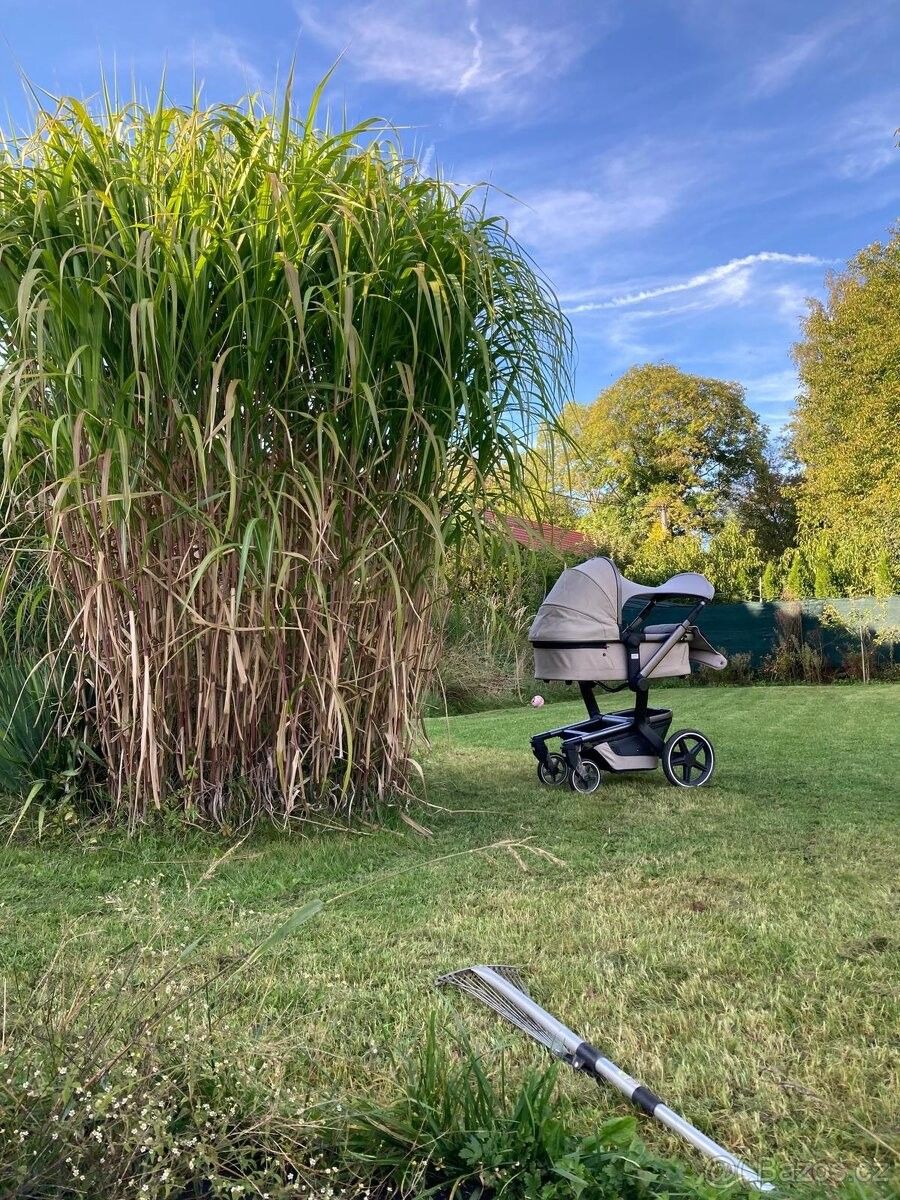 Pozemky pro bydlení, Jemnice, 675 31