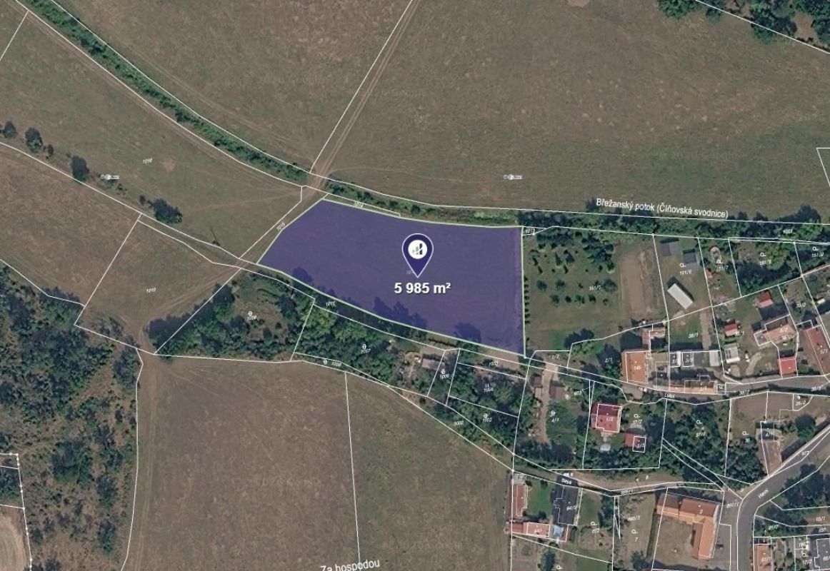 Zemědělské pozemky, Nové Sedlo, 5 985 m² - 1