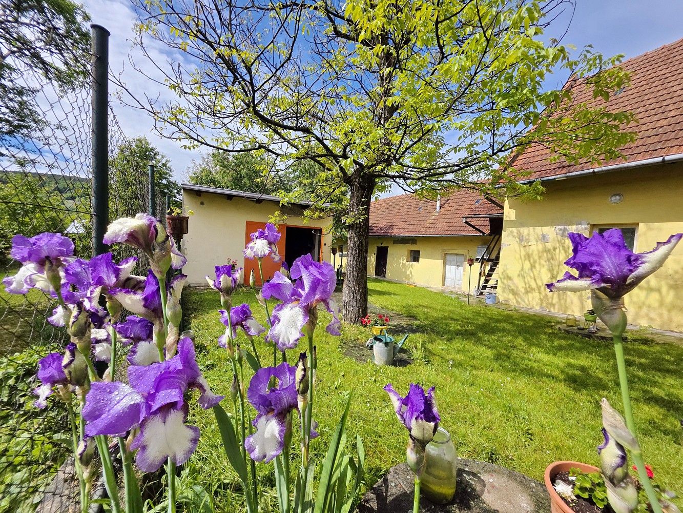 Prodej chalupa - Brumov-Bylnice - Bylnice, okres Zlín, Zlínský kraj, 700 m² - 1