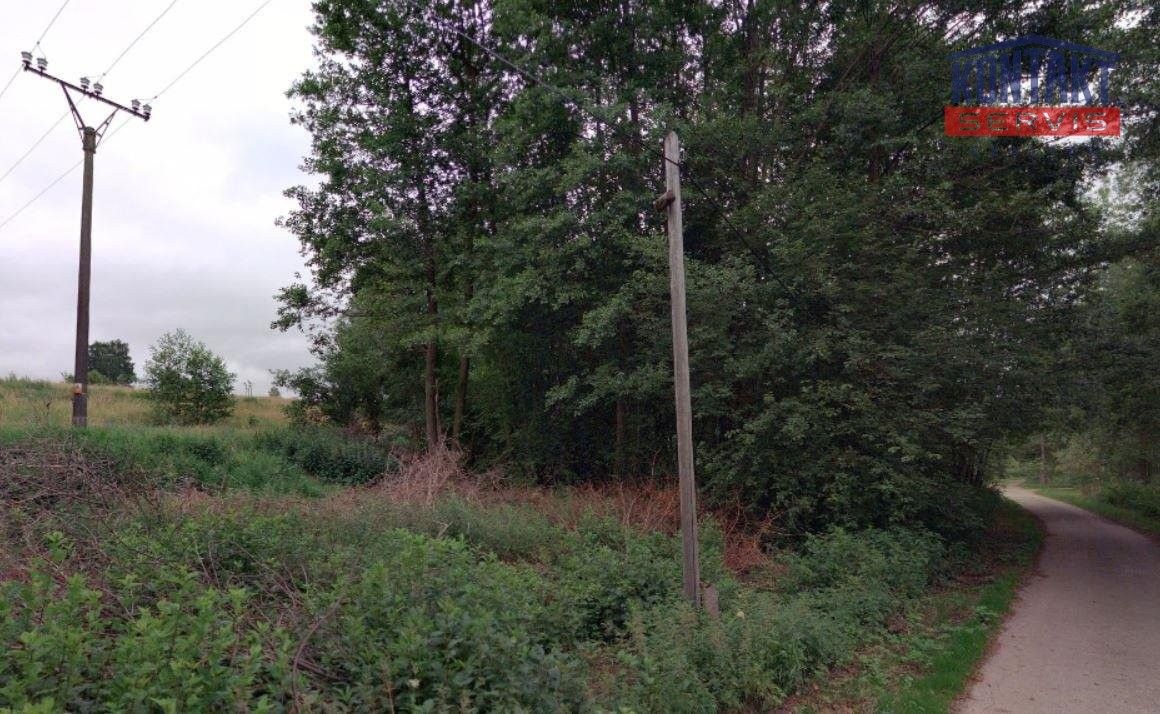 Prodej louka - Nové Hrady - 5