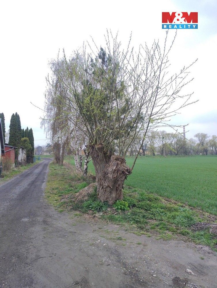 Prodej zahrada - Opava - Město - 5