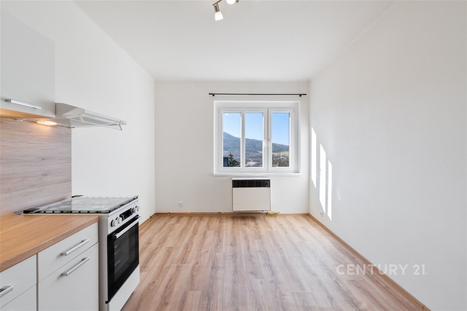 Pronájem byt 1+1 - Riegrova, Děčín, 37 m²