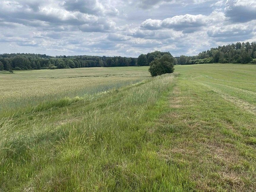 Prodej pozemek - Člunek, okres Jindřichův Hradec, Jihočeský kraj - 2