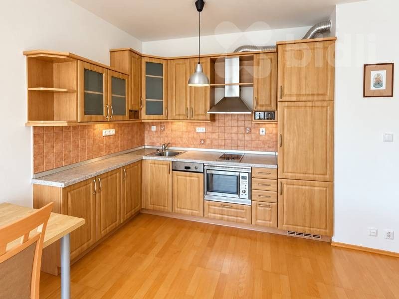1+kk, Jeřabinová, Praha Motol, 53 m² - 1