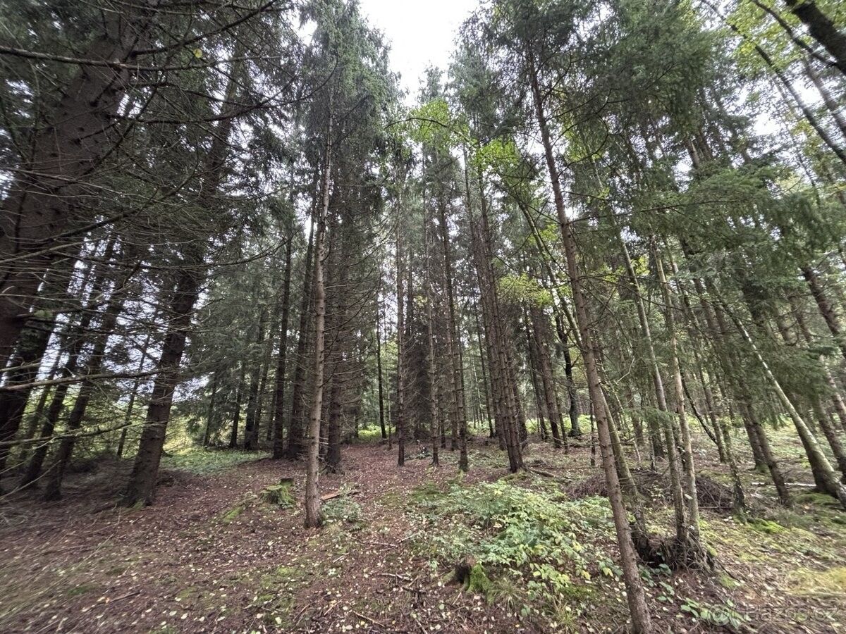 Prodej pozemek pro bydlení - Nové Mitrovice, 335 63