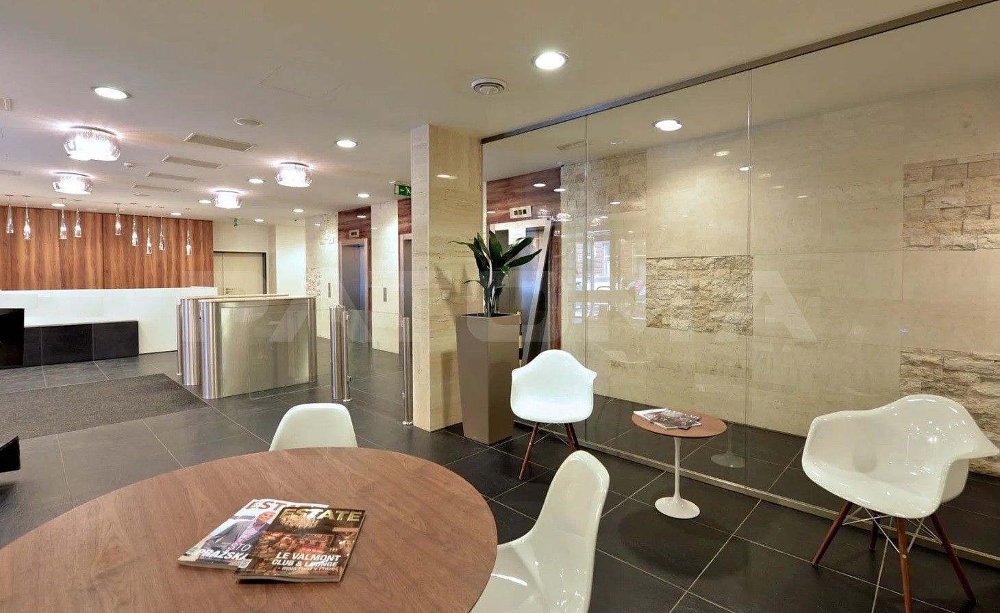 Pronájem kancelář - Thámova, Praha, 337 m²