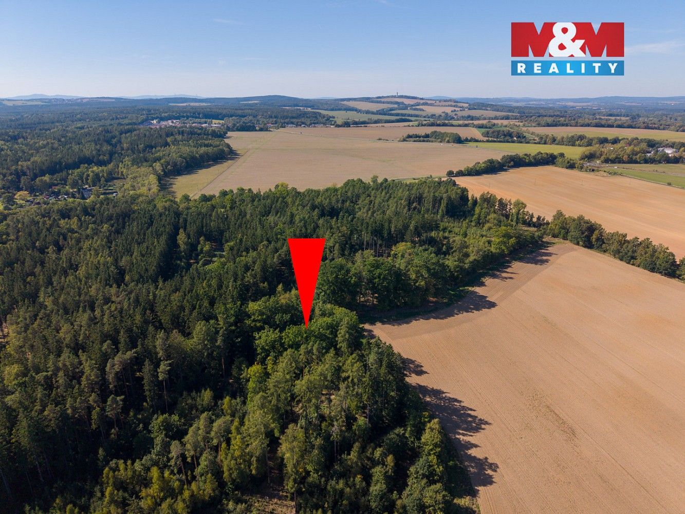 Prodej les - Cheb - Podhrad, Karlovarský kraj - 5