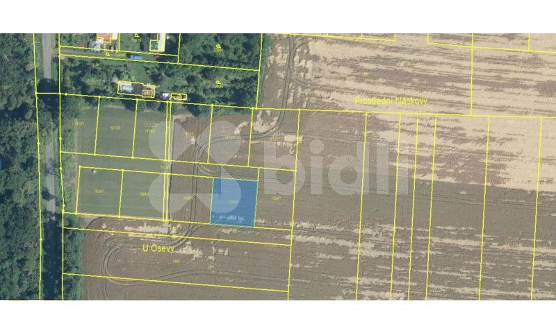 Prodej zemědělský pozemek - Choltice