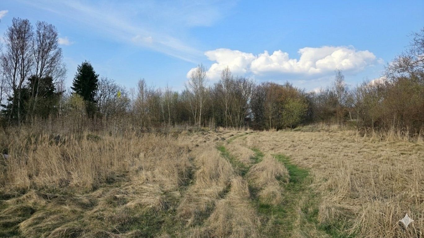 Pozemek, 3 900 m²