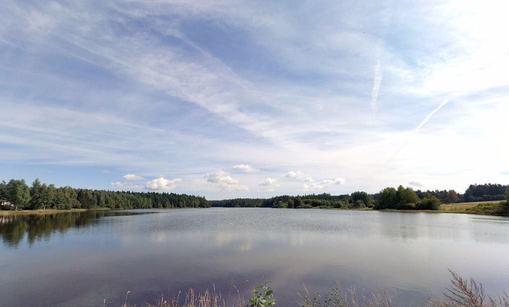 Louky, Blato, Nová Bystřice, 9 920 m² - 2