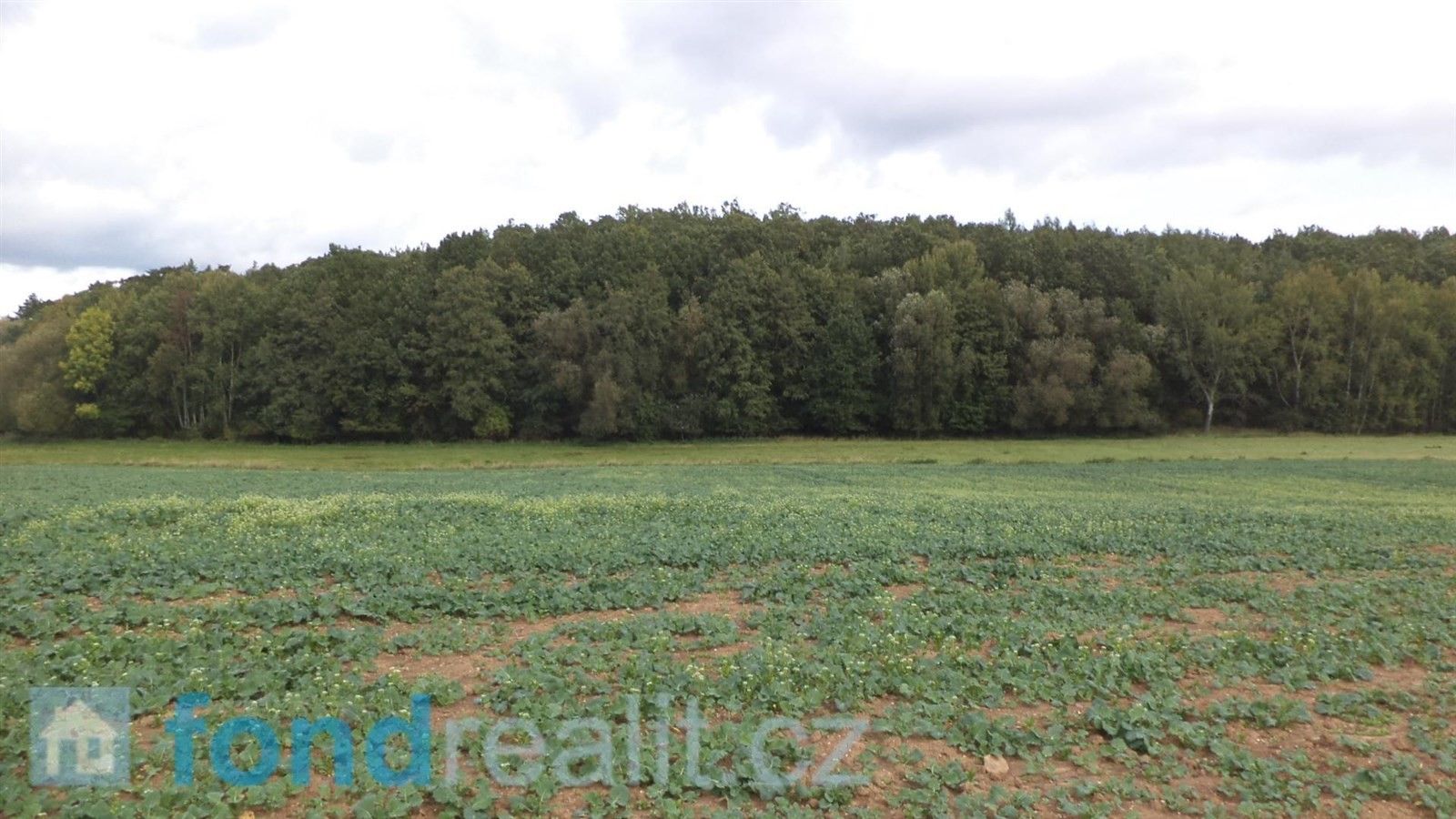 Zemědělské pozemky, Rosovice, 1 718 m²