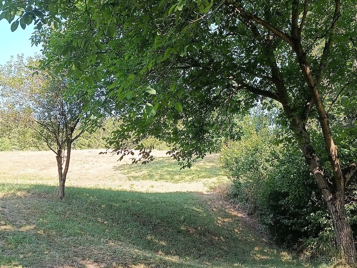 Pozemek pro bydlení · Rychnov nad Kněžnou, 516 01 - 3