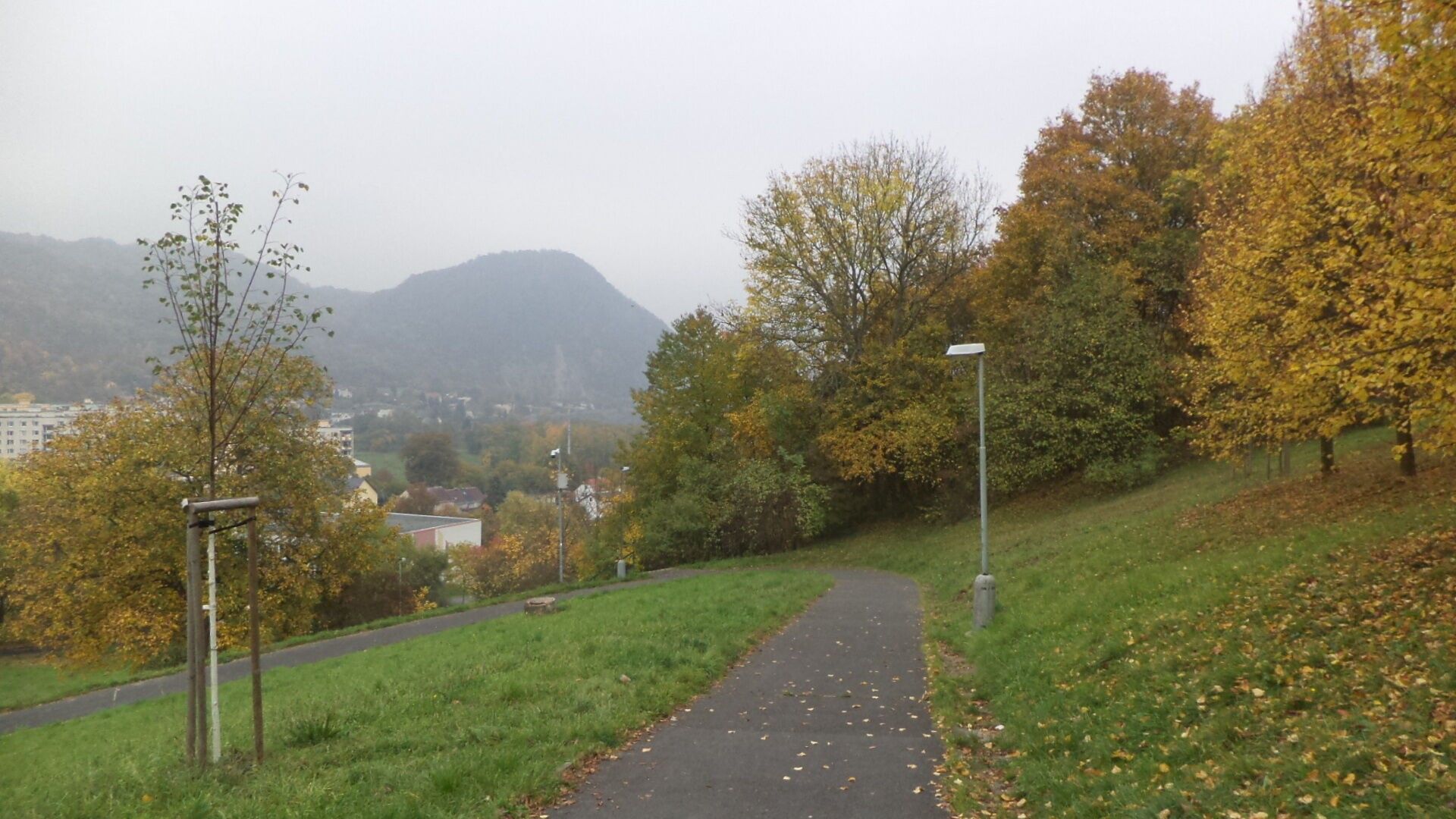 Pozemek · 14 780 m² · Ústí nad Labem Mojžíř - 4