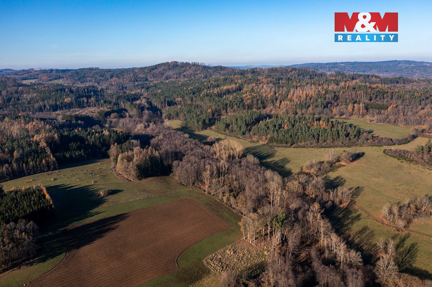 Les · Nalžovské Hory - Nalžovy, okres Klatovy - 3