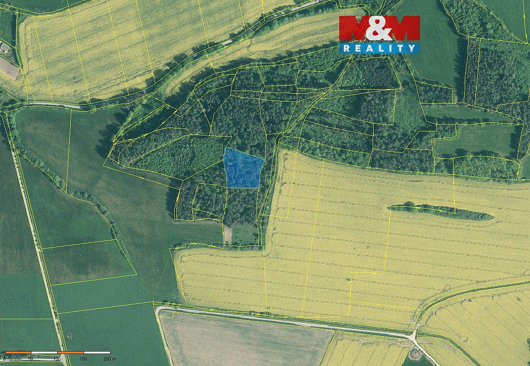Les, 4 545 m²