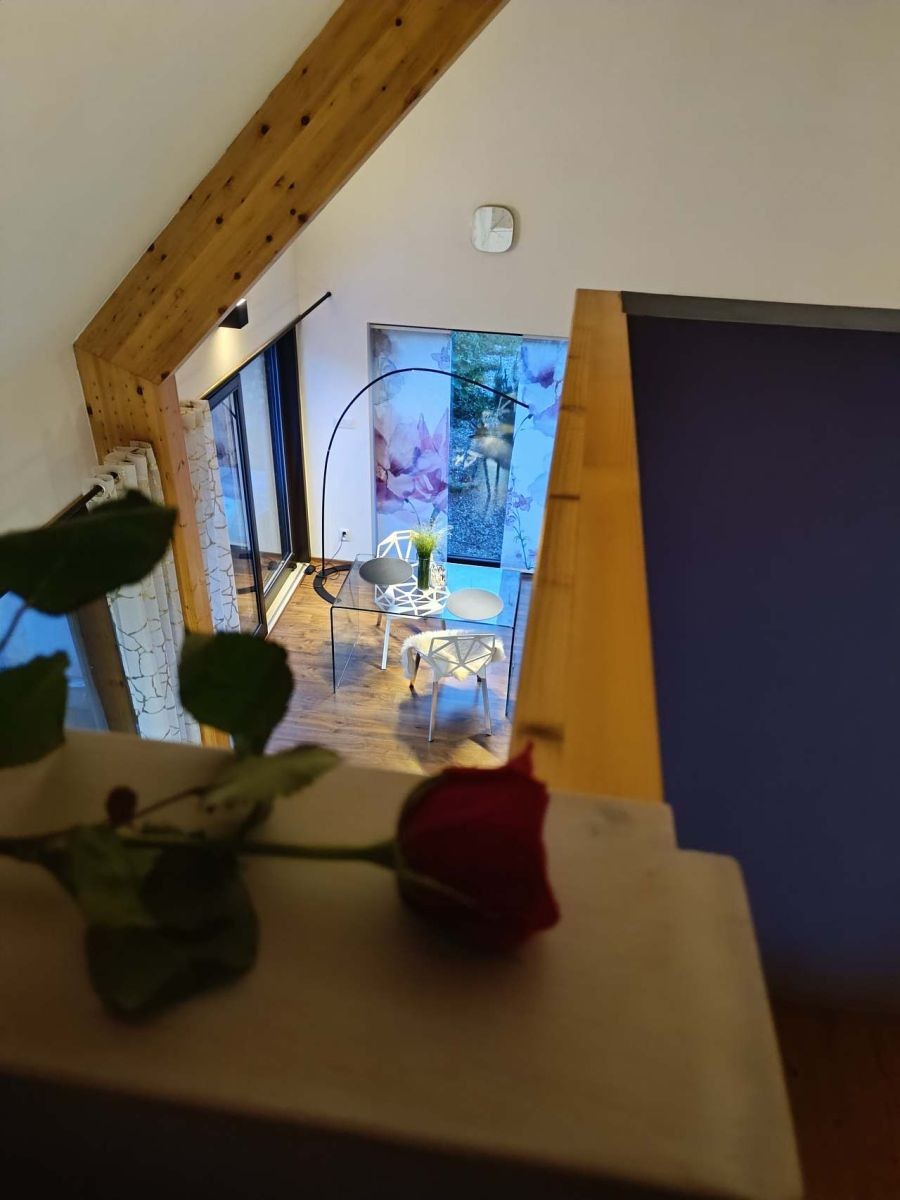 Chaty, Pěnčín - Alšovice, Liberecký kraj - 2