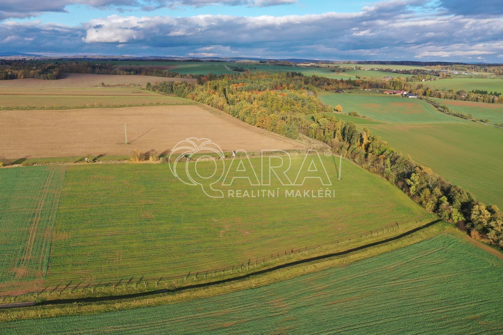 Prodej zemědělský pozemek - Dubenec, 74 998 m²