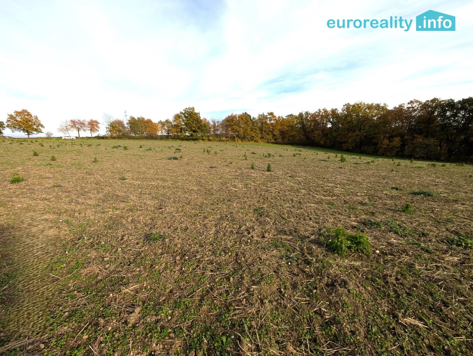 Prodej pozemek pro bydlení - Strakonice, 3 986 m² - 5