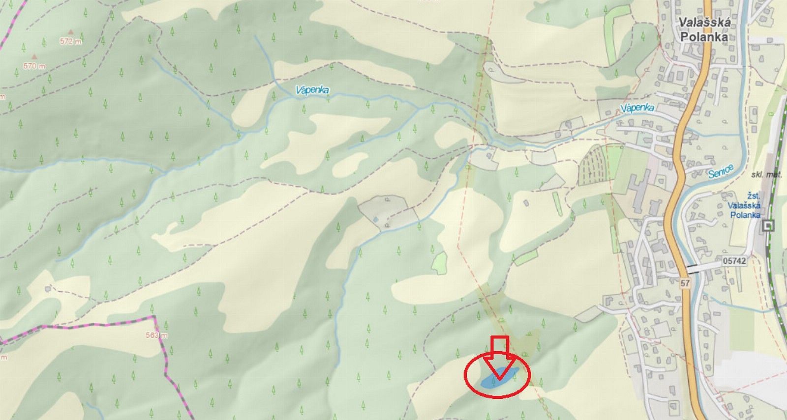 Prodej les - Nemojany, okres Vyškov - 5